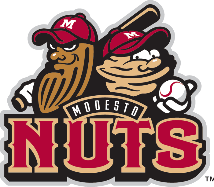 Modesto Nuts 2005-Pres Primary Logo iron on transfers for clothing